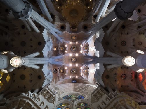 ceiling cathedral sagrada família