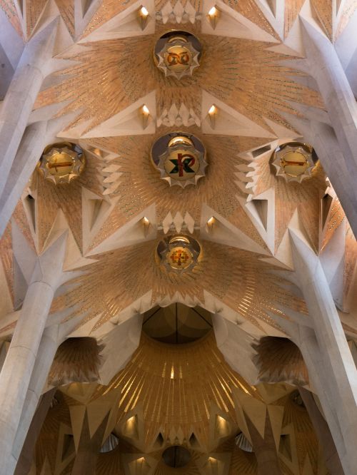 ceiling cathedral sagrada família