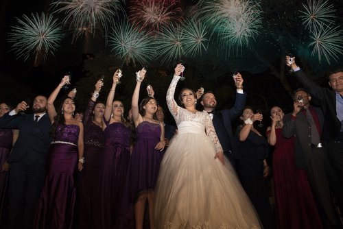 celebration  toast  wedding