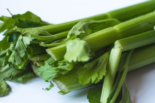 celery green food