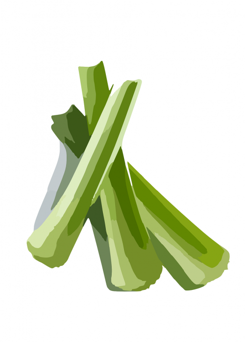 celery vegetable stalks