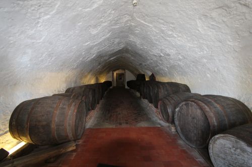 cellar vault catacomb