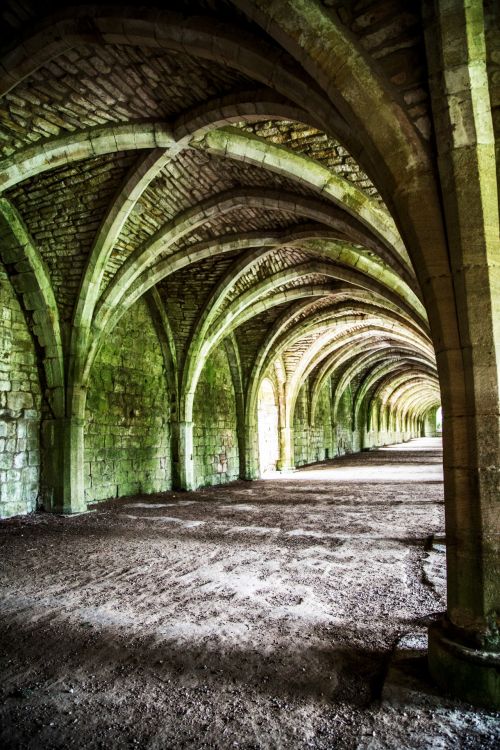 Cellarium Fountains Abbey