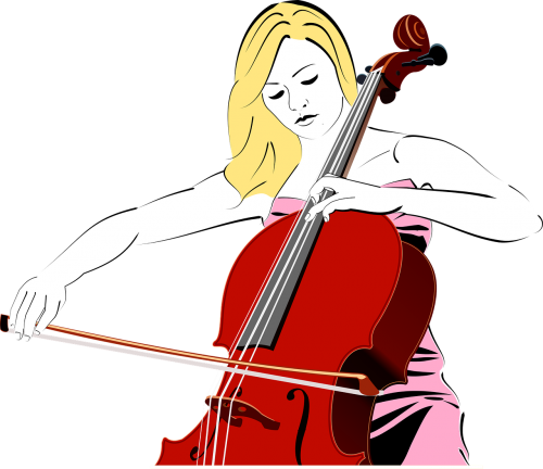 cello instrument musical instrument