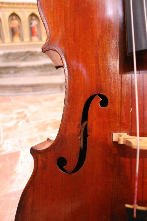 cello wood music