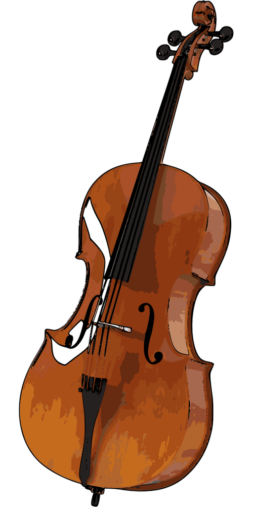 cello stringed instrument music