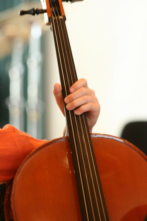 cello musical instrument music