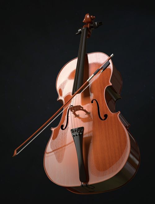 cello strings stringed instrument