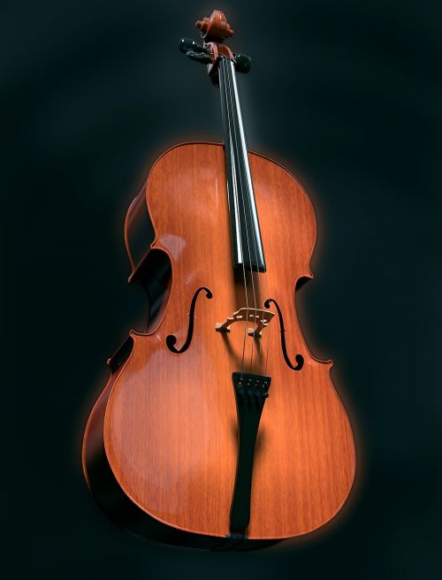 cello strings stringed instrument