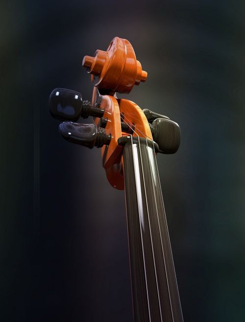 cello strings stringed instrument