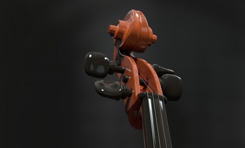 cello strings stringed instrument