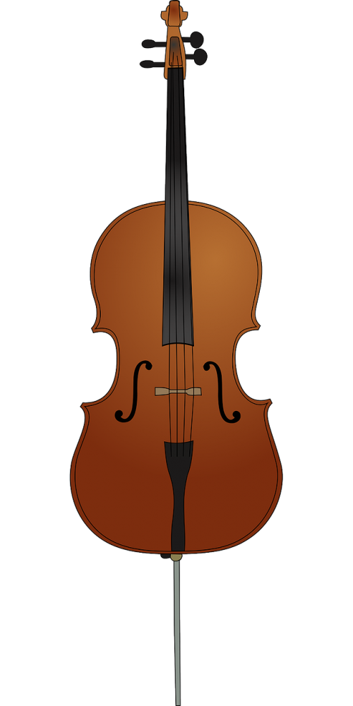 cello instrument string