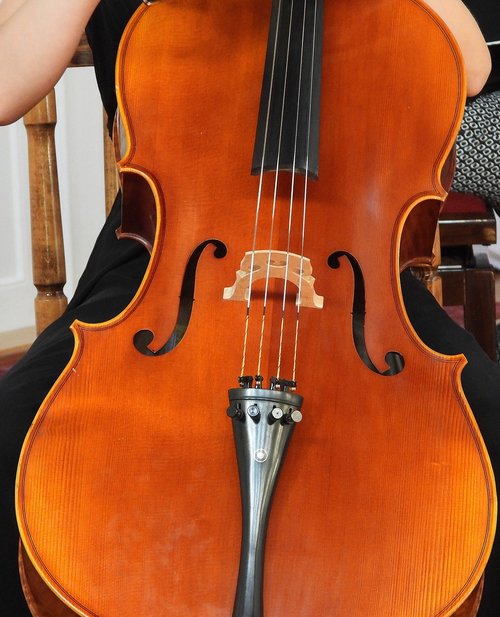 cello  music  cellist