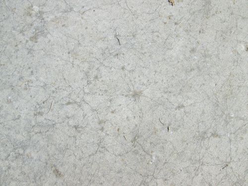 Cement Texture 1