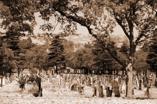Cemetery Scene In Sepia