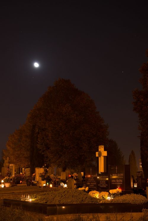 cemetery candles night