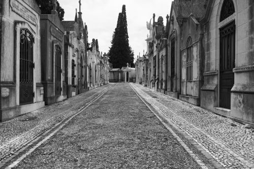 cemetery graves grave
