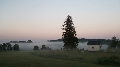 cemetery fog dawn