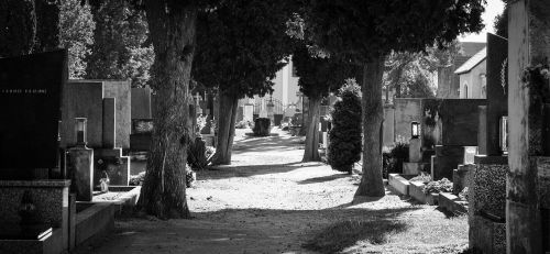 cemetery graves path