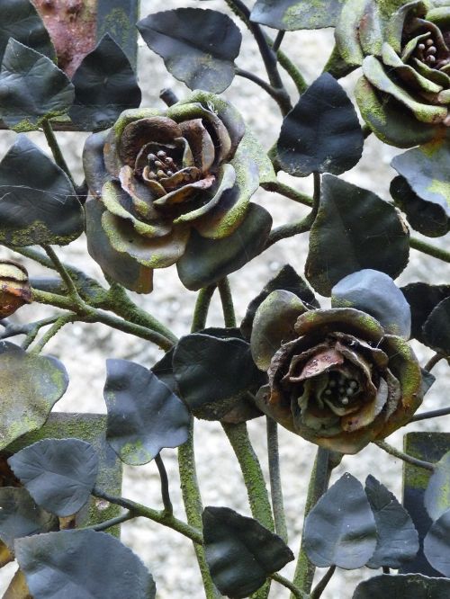 cemetery forged roses