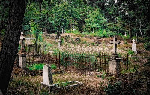 cemetery  graves  the tomb of