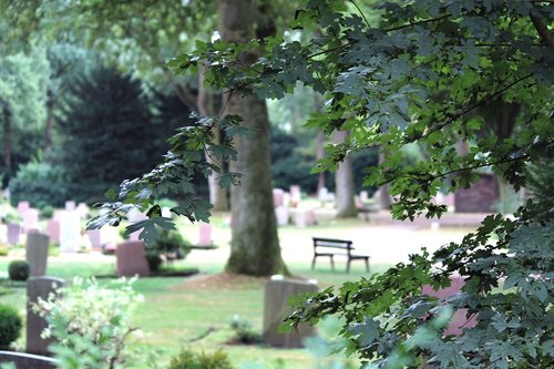 cemetery  resting place  grave