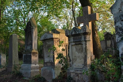 cemetery  tombstone  grave