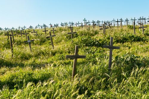 cemetery crosses field