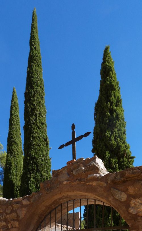 cemetery cypress transcendence