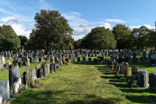 cemetery trees headstones