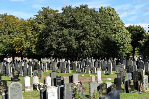 cemetery trees headstones