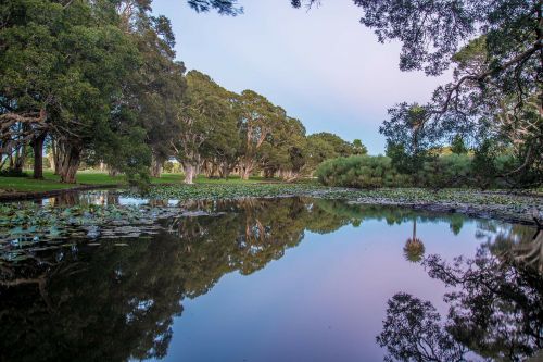 centennial park sydney australia