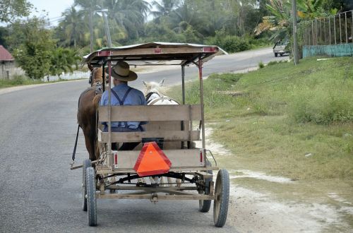 central america belize horse drawn carriage