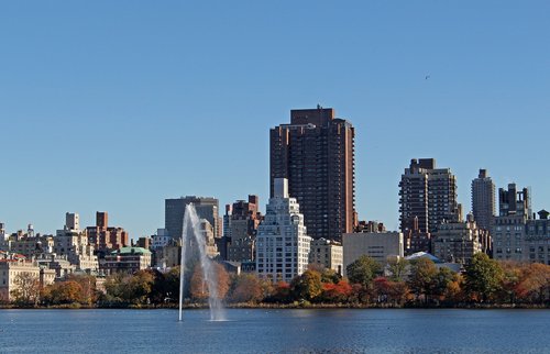 central park  park  garden