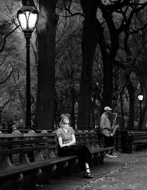 central park  new york  musician