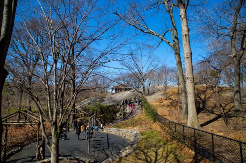 Central Park, NYC