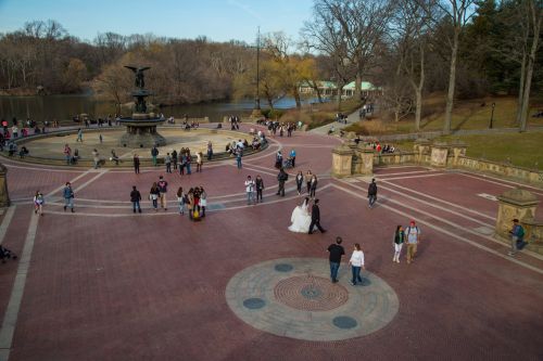 Central Park, NYC