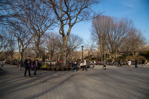 Central Park, NYC