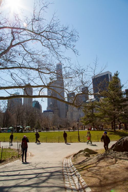 Central Park, NYC