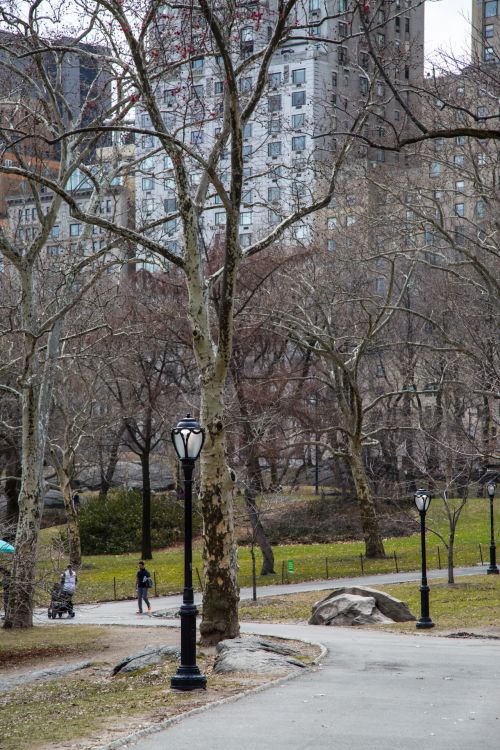 Central Park, NYC