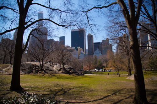 Central Park, NYC