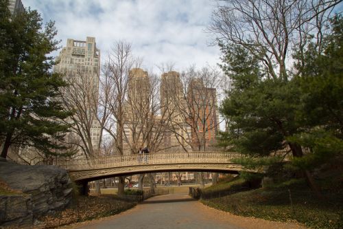 Central Park, NYC