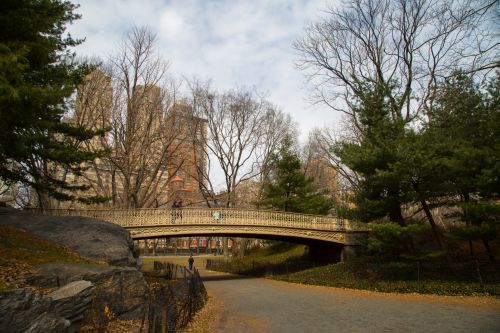 Central Park, NYC