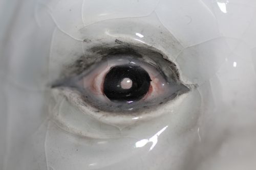 ceramics eye eyeball
