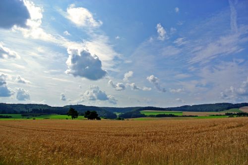 cereals fields clouds