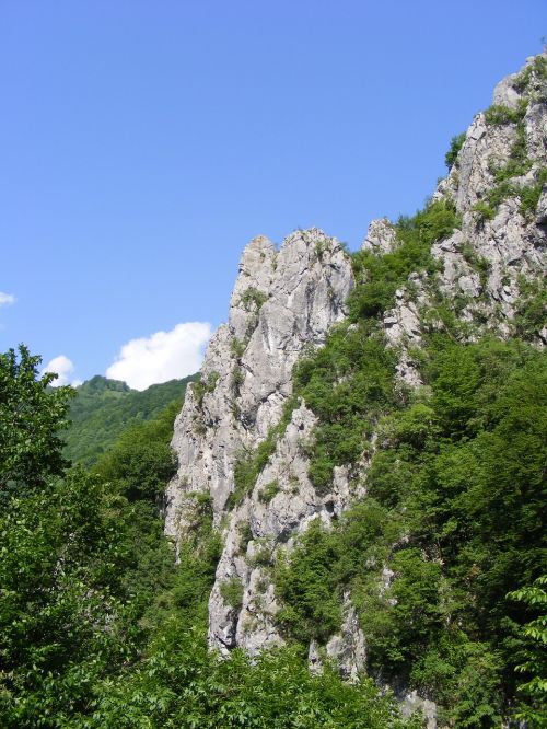 cerna godeanu mountains