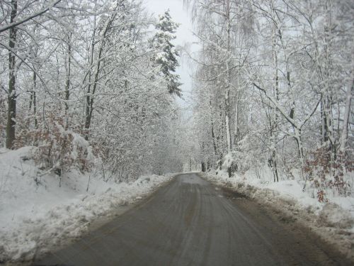 Road In Winter