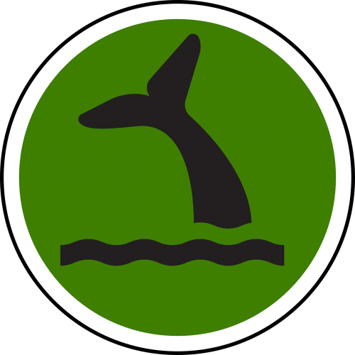 cetacean ecosystem populations