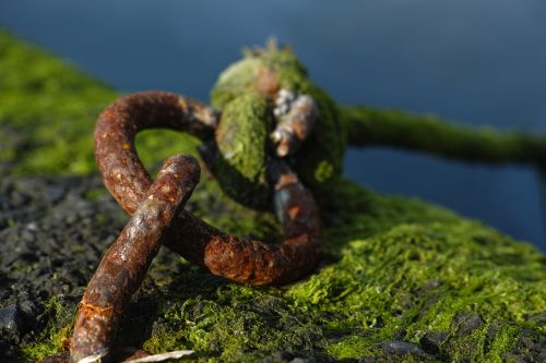 chain daniel rusty