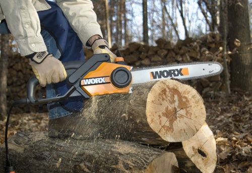 chainsaw wood tree